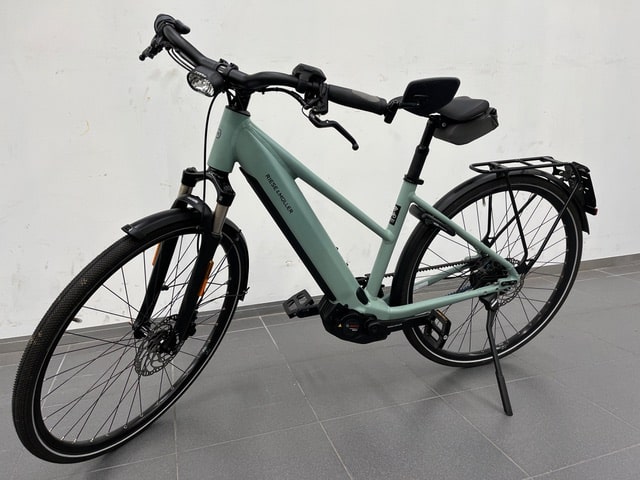 Riese & Muller Roadster mixte vario High Speed